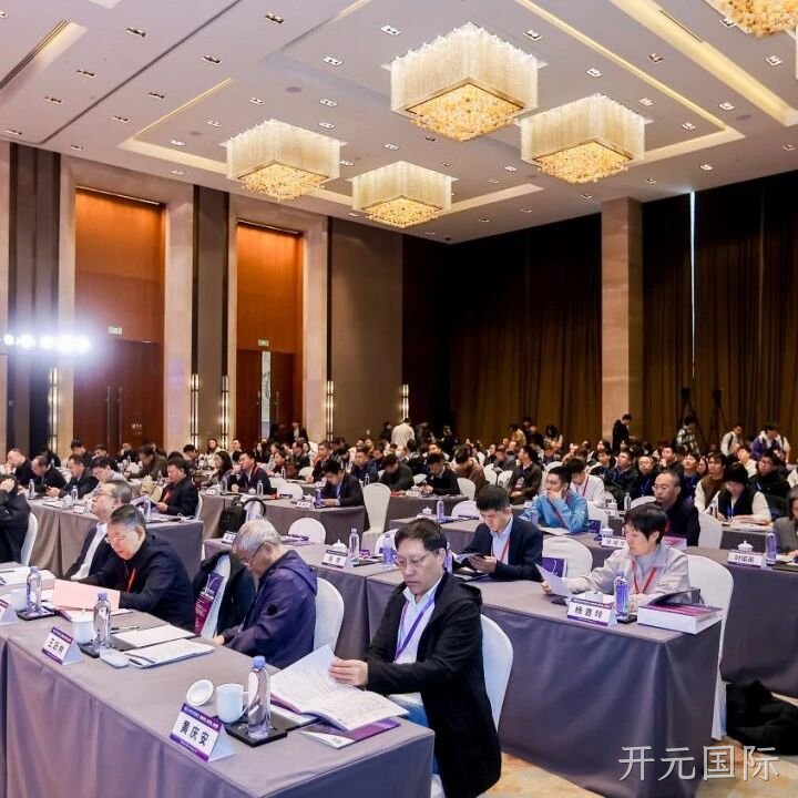 开元国际</a>参加2025智能微系统研讨会